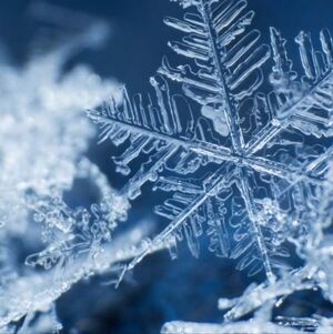 Meet your Posher, Marsha